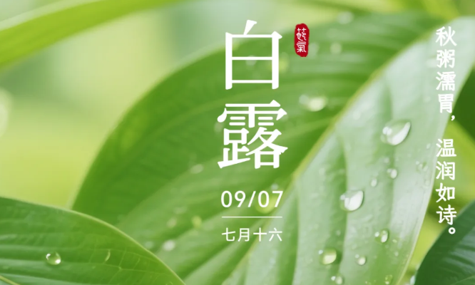 白露｜秋凉渐至，一碗159温暖身心，润燥养元正当时