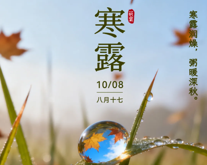 寒露润燥，一碗暖粥迎金秋！