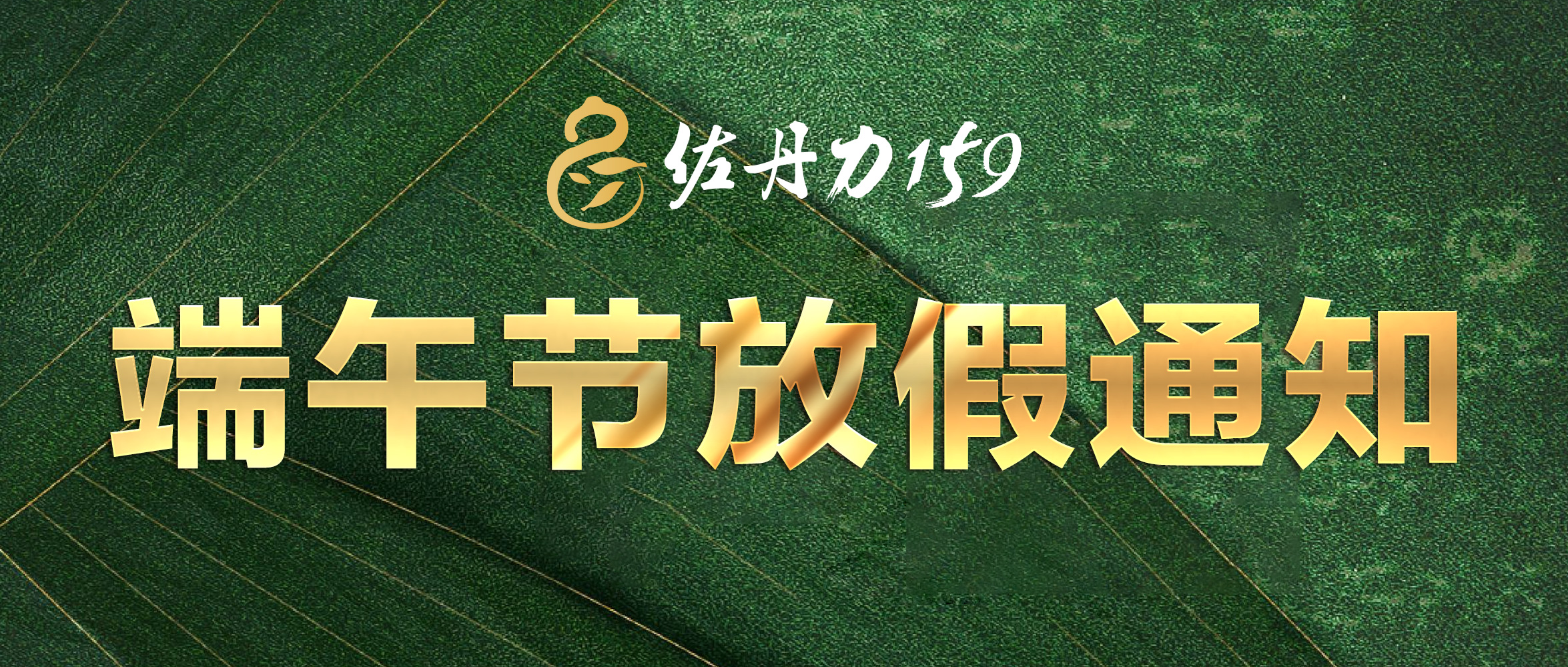 端午节放假通知