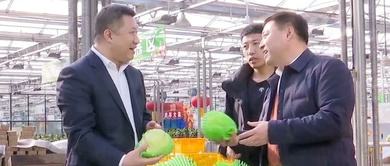 见证履职丨全国政协委员韩丹：关注乡村振兴 积极建言献策